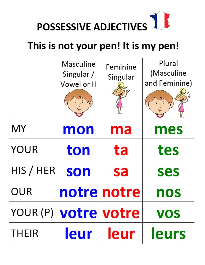 Les Adjectifs Possessifs Exercices