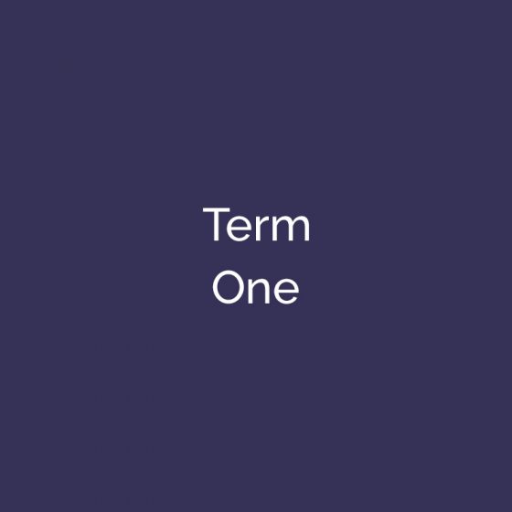 TERM ONE