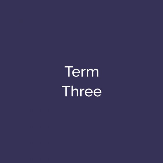 TERM THREE